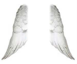 ailes d'anges Fotomontasje