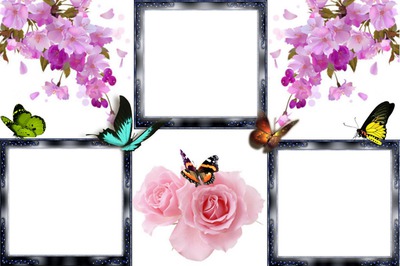 Cadres fleurs papillons Fotomontáž