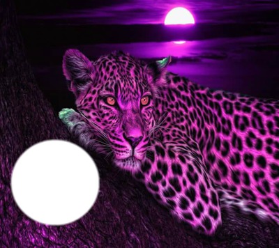 purple leopard Photomontage