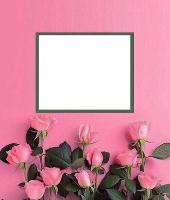 marco y rosas rosadas. Fotomontažas