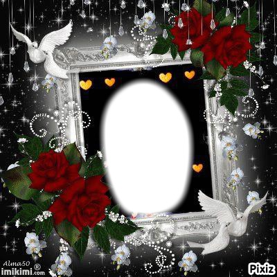colombe Photo frame effect