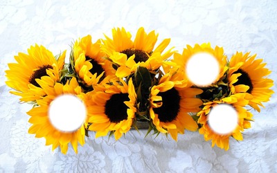 bouquet soleil** Montage photo