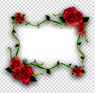 rose frame Photo frame effect