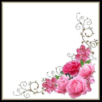 marco negro y rosas rosadas. Фотомонтаж