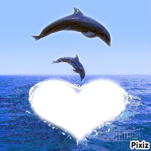 coeur et dauphin Fotomontagem