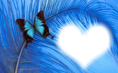 papillon coeur bleu フォトモンタージュ