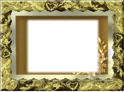 cadre doré Photomontage