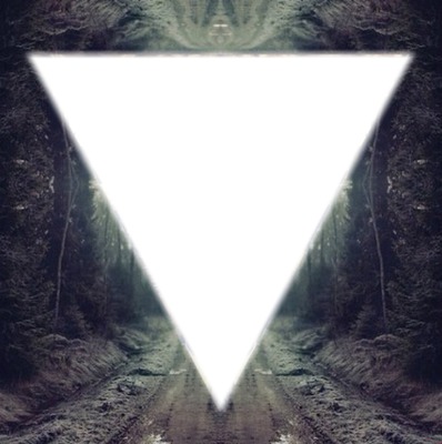 Triangle dans la forêt