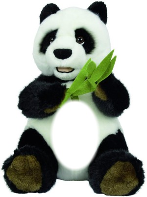 "panda" Fotomontáž