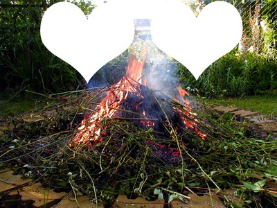 feu de bois-deux coeurs Valokuvamontaasi