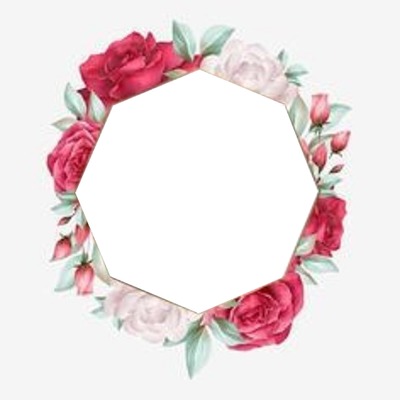 marco octogonal y rosas fucsia. Fotomontaż