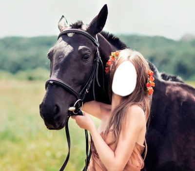 cheval Fotoğraf editörü