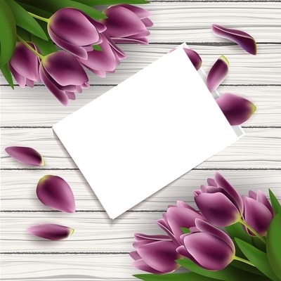 cadre tulipe Fotomontasje