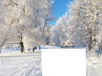 hiver Fotomontažas