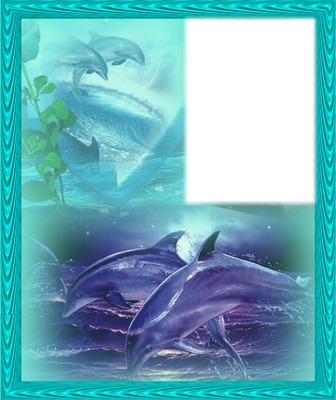 "dolfijn" Fotomontage