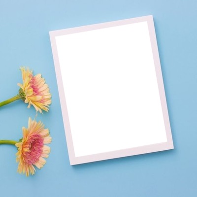 marco blanco para una foto y flores, fondo celeste. Фотомонтажа