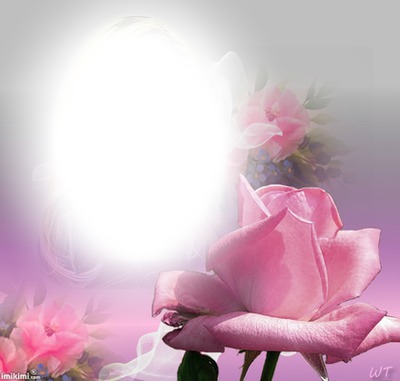 Pink Rose Fotomontage