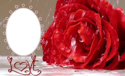 rose rouge Valokuvamontaasi