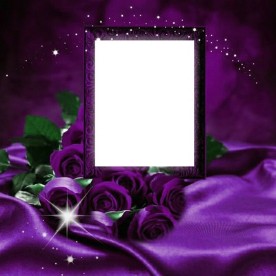 Purple rose Photo frame effect