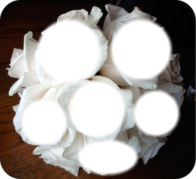 rosas blancas Fotomontagem