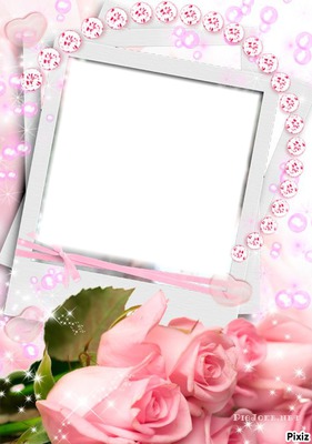 cadre en rose Photo frame effect