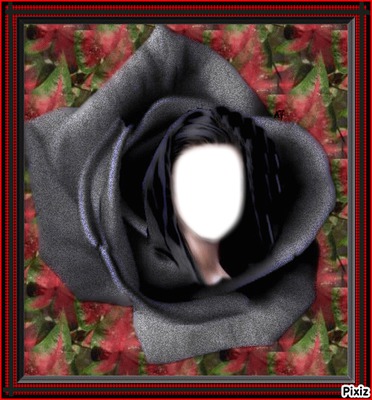 rose noir Photo frame effect