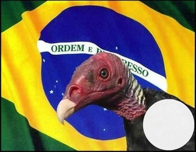 Brasil / Brazil / Brasile Photomontage