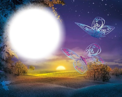 Papillons-coucher de soleil-paysage-nature Photo frame effect