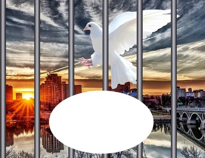 Prison - colombe - coucher de soleil Фотомонтаж