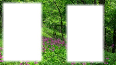 Erdő réti virággal Fotomontage