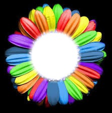 flor de colores Montaje fotografico