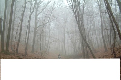 brouillard Fotomontaža