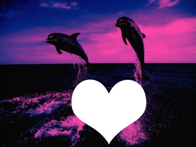 coeur dauphin Photo frame effect