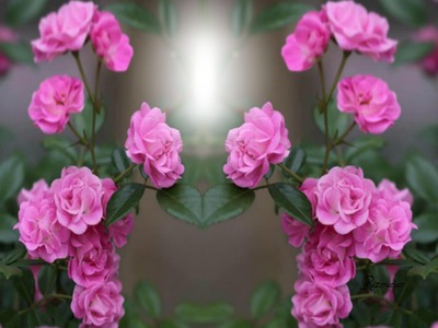 linda flores para ti Fotomontaggio