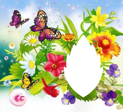 nature papillons laly Photo frame effect