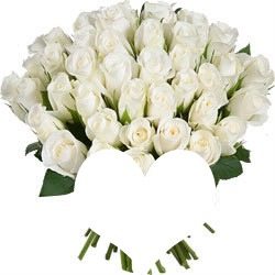 bouquet de rose blanche Photo frame effect