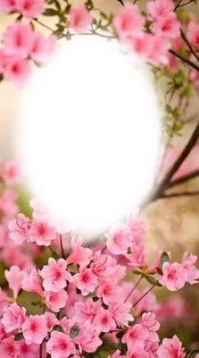 Tavaszi virág Photomontage