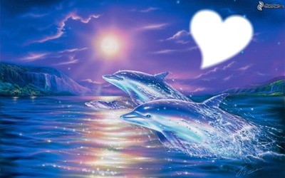 delfines nadando Montaje fotografico