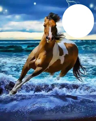 Horse on beach Photo frame effect