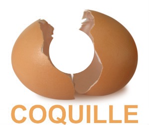 coquille Fotomontage