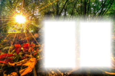őszi naplemente Fotoğraf editörü