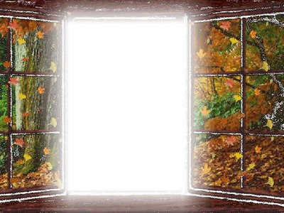 In the wood Photo frame effect