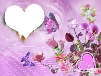mariposas fondo rosa Fotomontage