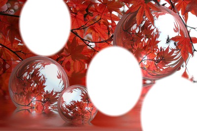 automne rouge Fotomontaggio
