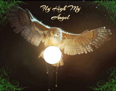 FLY HIGH MY ANGEL Fotomontáž