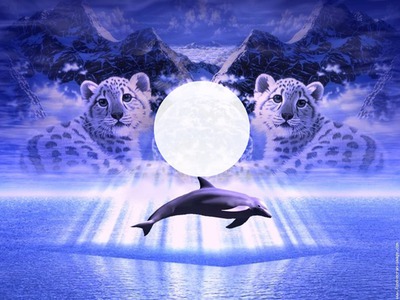tigre dauphin Fotomontage