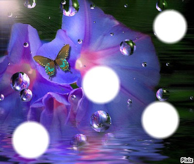*Papillon* Photomontage