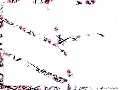 Fleurs de cerisiers Montage photo