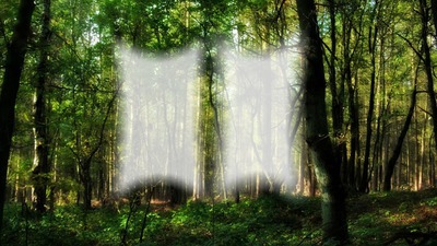 forêt 2 Photo frame effect