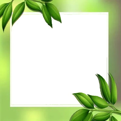 marco y hojas verdes. Fotomontāža